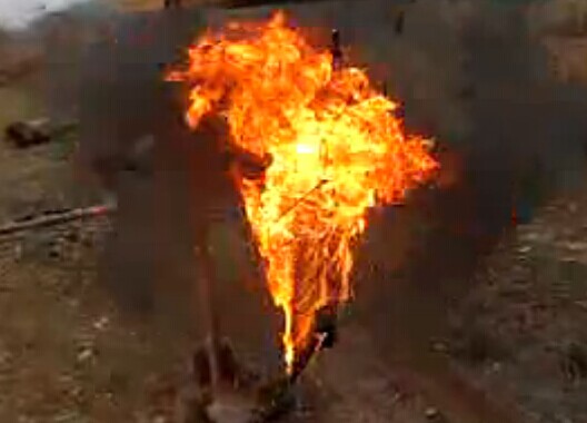 ������ȼԇ�(y��n)