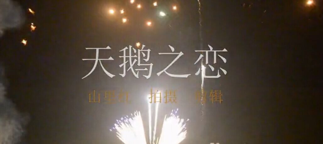 ҕ�l: �g��^�Y�_�������}����������Z֮�١�