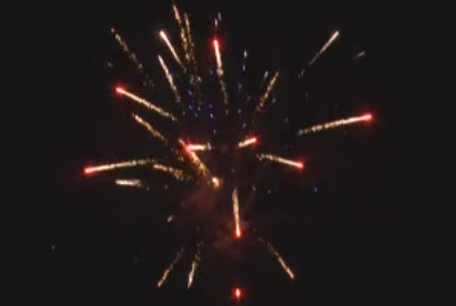 81�l(f��)��ӭʢ��